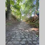 Het Kastanjehuis *