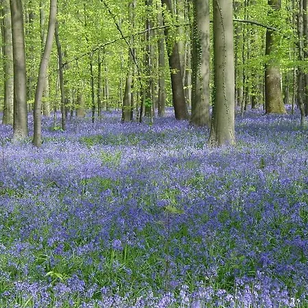 Het Kastanjehuis Orlitain