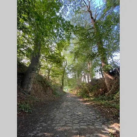 Het Kastanjehuis Feriehus *