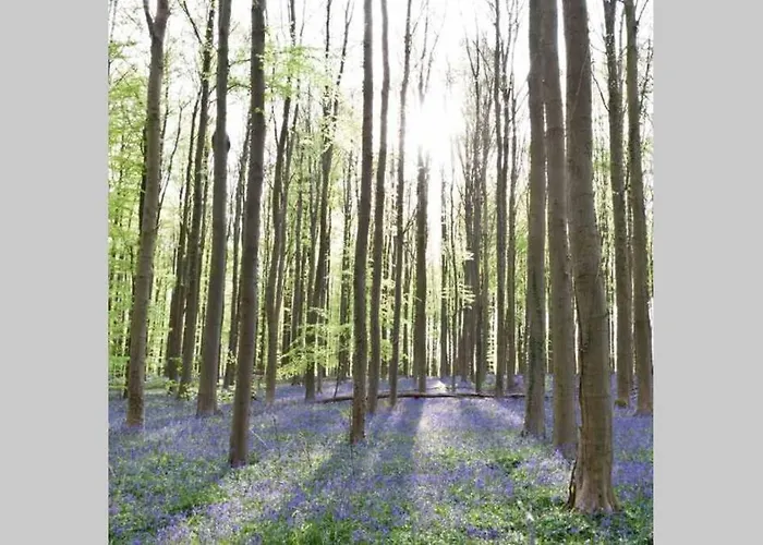 Hébergement de vacances Het Kastanjehuis Orlitain