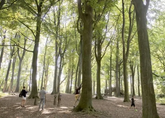 Het Kastanjehuis Hébergement de vacances *