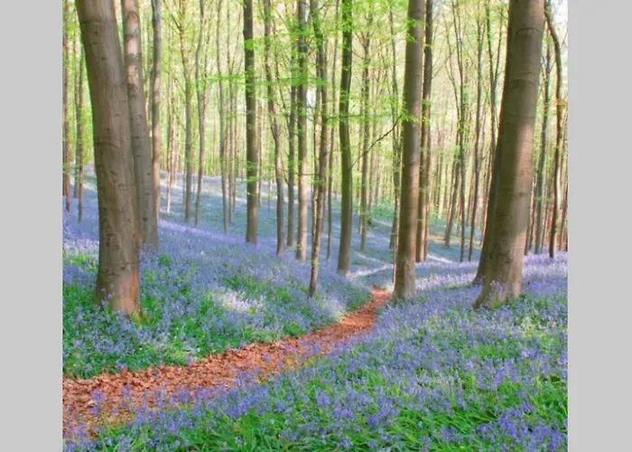 Hébergement de vacances Het Kastanjehuis
