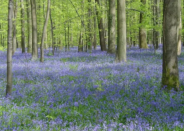 Het Kastanjehuis Orlitain